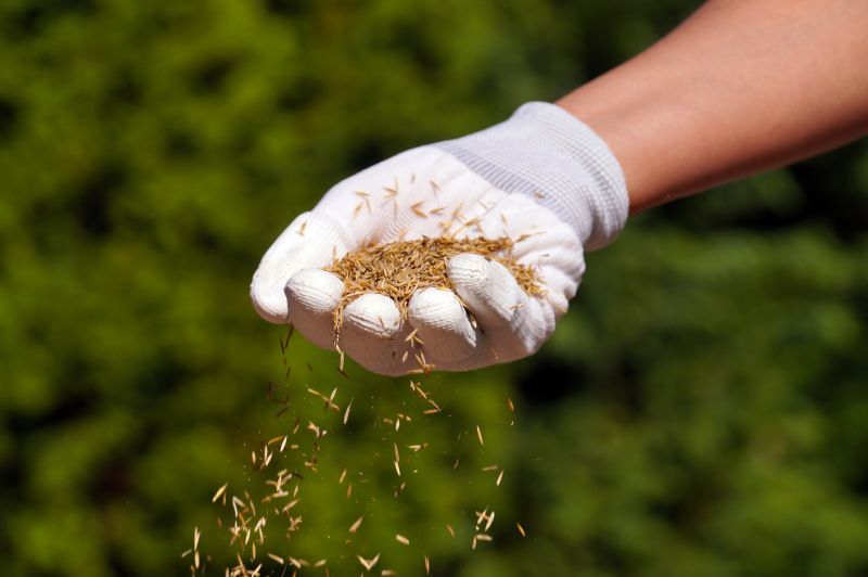 Bermuda Grass Seeding in Ventura County, CA