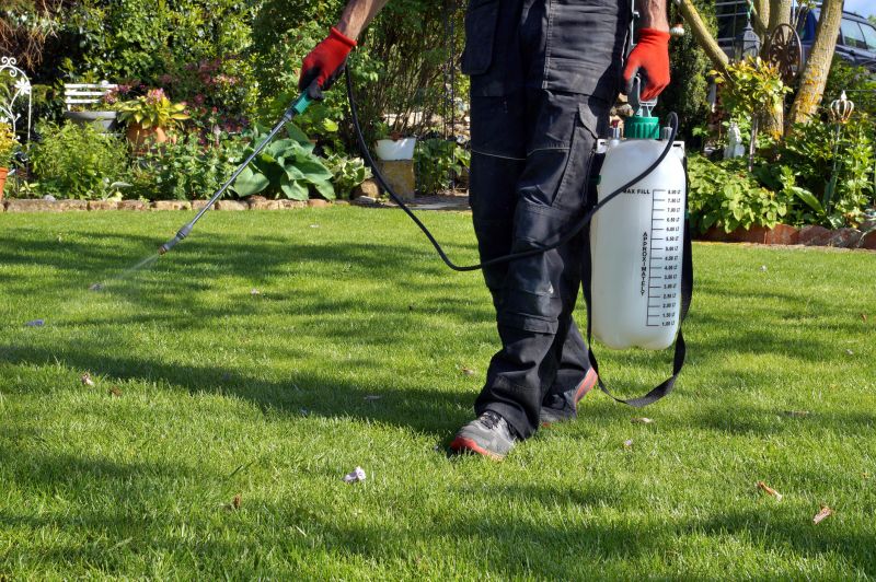 Crabgrass Prevention in Ventura County, CA