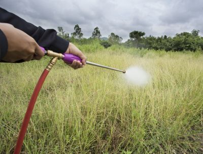 Crabgrass Prevention in Aiken, SC