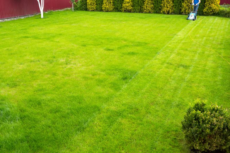 Beautifully Maintained Lawn