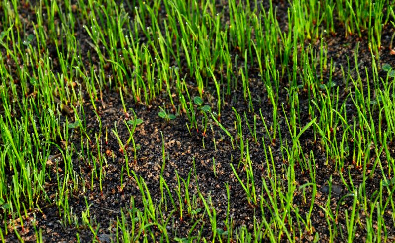 Material Picks that Last