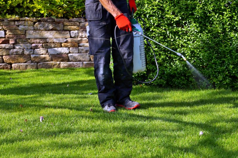 Lawn Weed Spraying in Aiken, SC