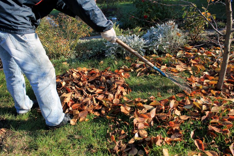 Seasonal Lawn Maintenance in Honolulu, HI