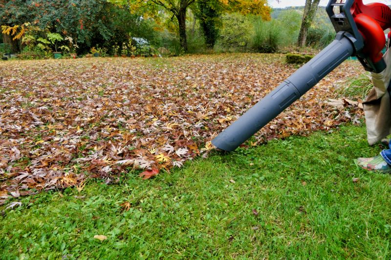 Spring Lawn Cleanup in Ventura County, CA