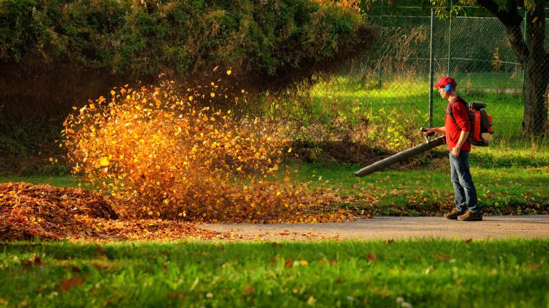 Spring Yard Clean Up Service in Honolulu, HI