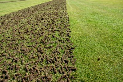 Lawn Aeration Services