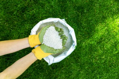 Lawn Fertilizing Services